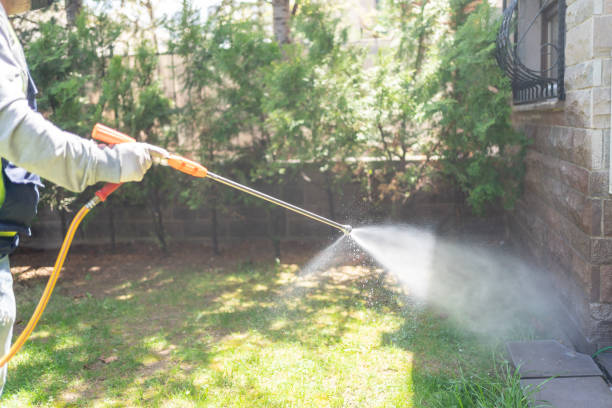 Best Organic or Eco-Friendly Pest Control  in New Square, NY